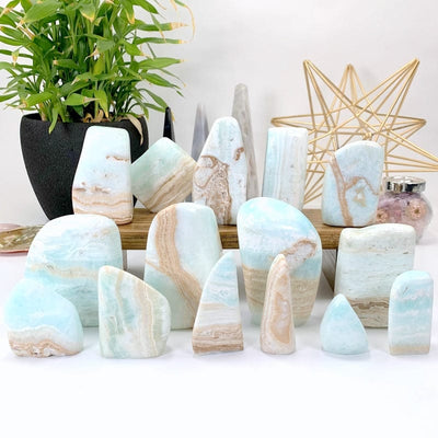 15 cut base caribbean calcite pieces on a piece of wood in front of a white background