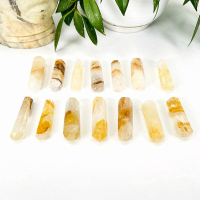 golden healer quartz double terminated points placed out in front of backdrop