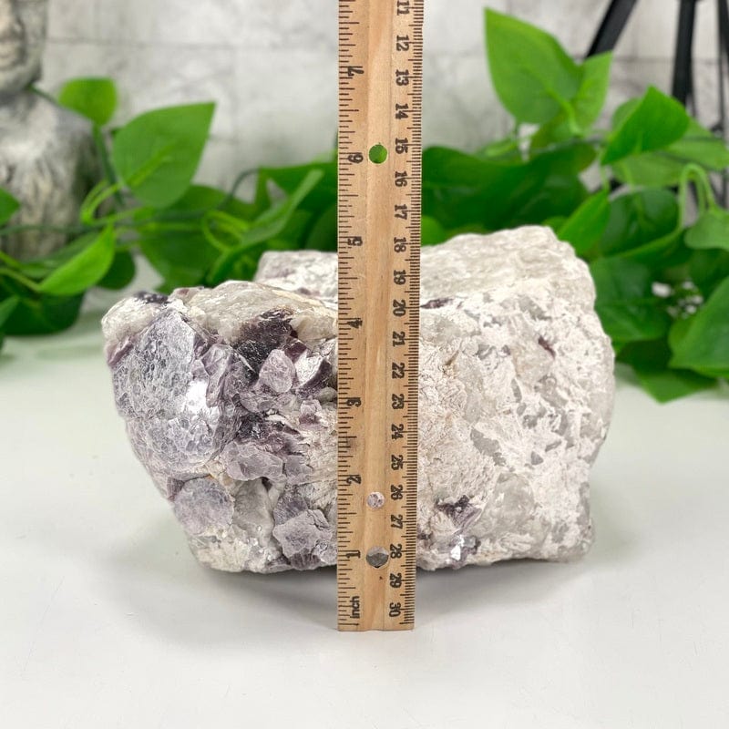 purple lepidolite with flashes of mica cluster shown with a ruler to show height