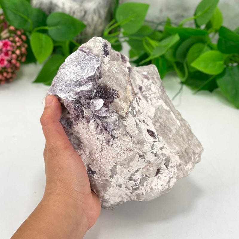 purple lepidolite with flashes of mica cluster shown on a hand for size reference