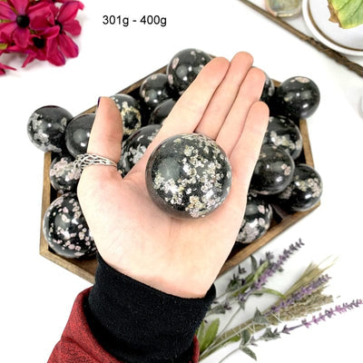 301 gram - 400 gram black jade with pink thulite sphere in hand 
