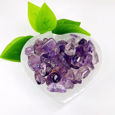 Amethyst tumbled stones in a selenite bowl for display