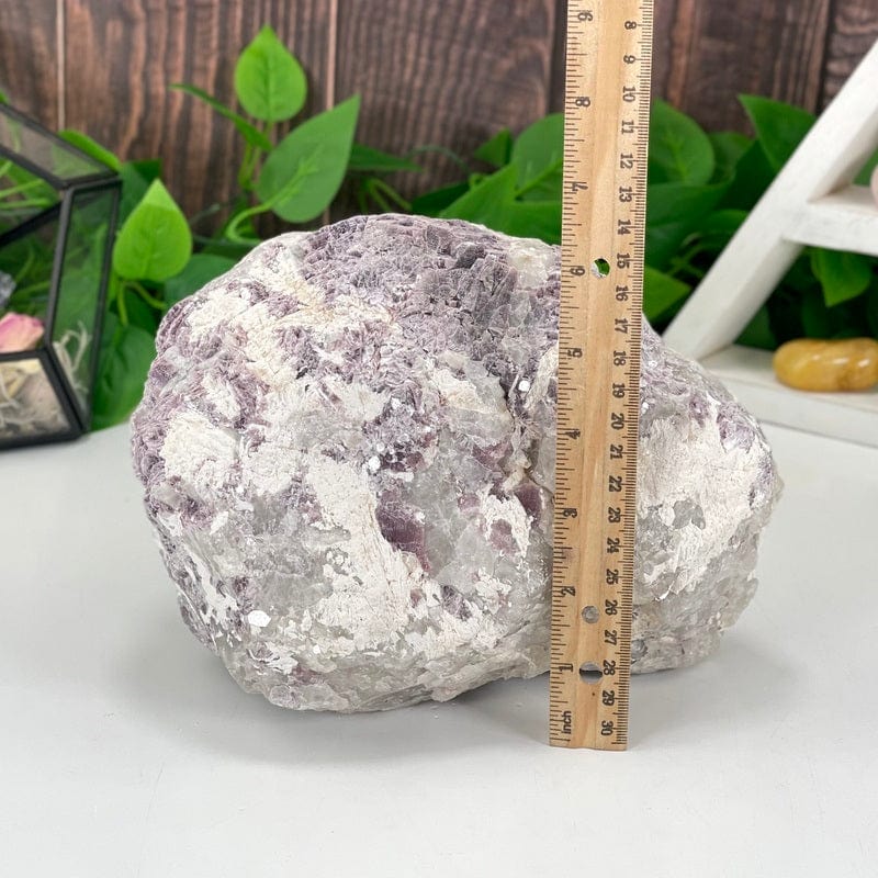 purple lepidolite with flashes of mica pictured with a ruler to show height