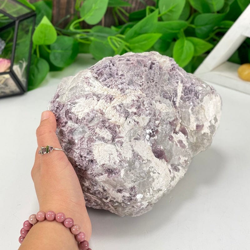 purple lepidolite with flashes of mica cluster pictured with hand to show size