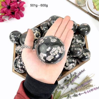 501 gram - 600 gram black jade with pink thulite sphere in hand 