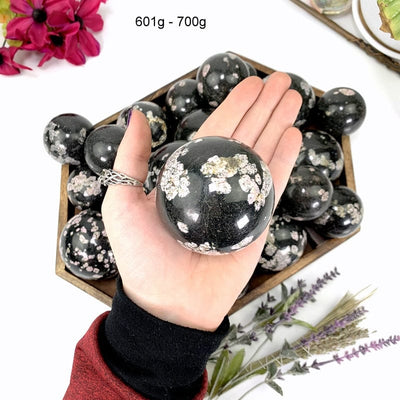 601 gram - 700 gram black jade with pink thulite sphere in hand 
