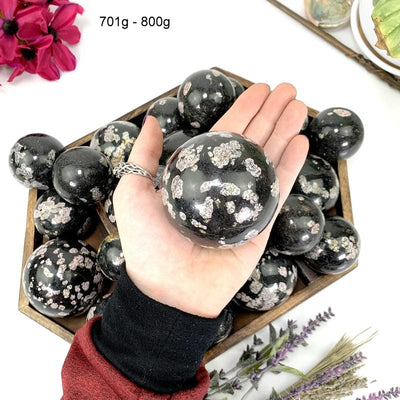 701 gram - 800 gram black jade with pink thulite sphere in hand 