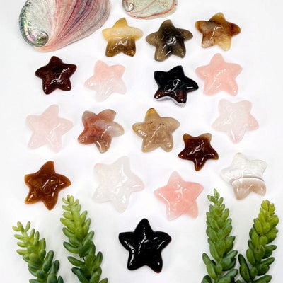 multiple carved sea star gemstones displayed to show the differences in color shades and sizes 