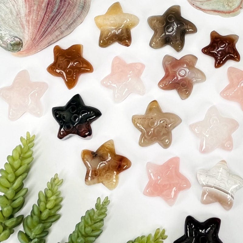 multiple starfish displayed to show the differences in the colors and sizes 