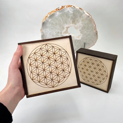 flower of life wooden storage box in hand for size reference