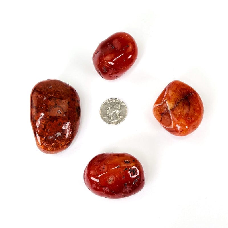 xl carnelian tumbled stones next to a quarter for size reference 