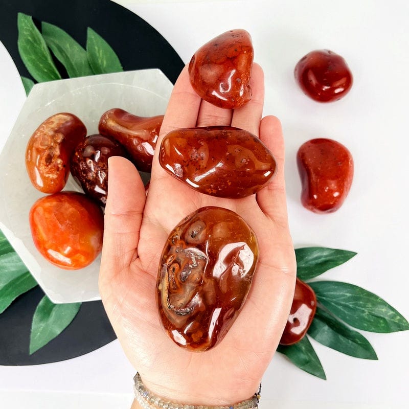 xl carnelian tumbled stones in hand for size reference 