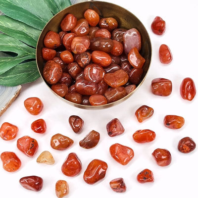 Carnelian tumbled stones on a white background with more in a brass bowl.