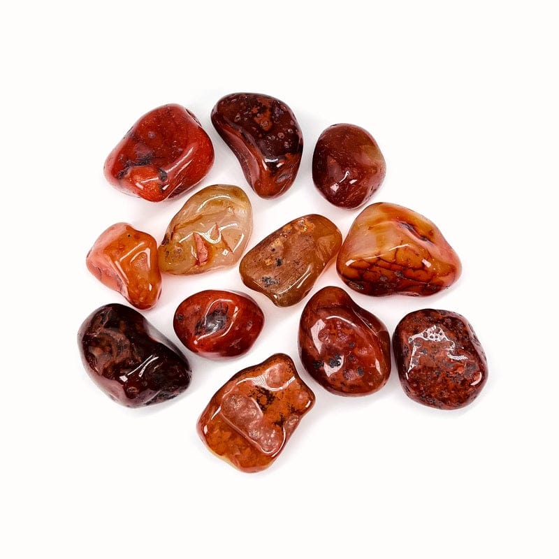 Large Carnelian Tumbled Stone - Red Polished Beauties! - Choose Your Qty 1,3 5 Pieces (TS-83)