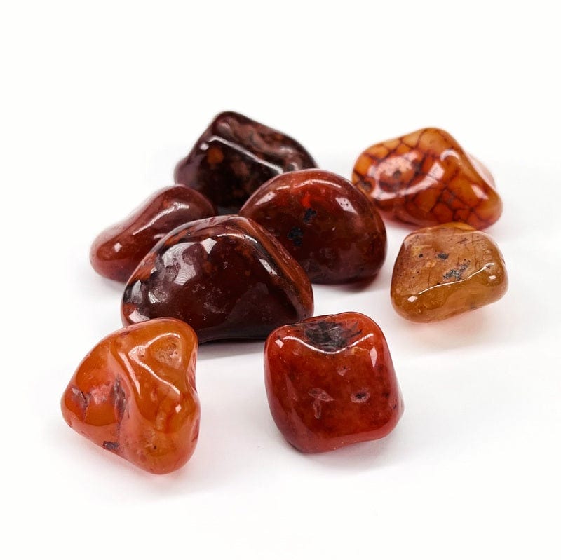 Large Carnelian Tumbled Stone - Red Polished Beauties! - Choose