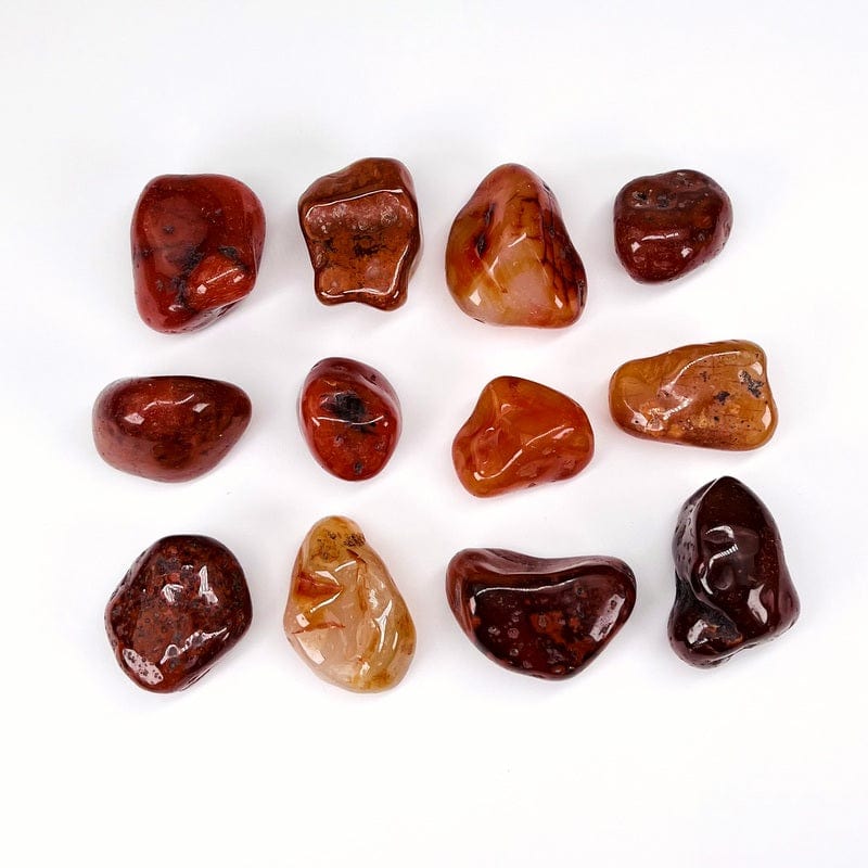 Large Carnelian Tumbled Stone - Red Polished Beauties! - Choose