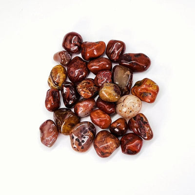 Carnelian Tumbled Gemstones - 1lb - Medium Size (TS-15b)