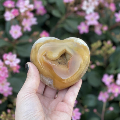 Front facing agate heart with druzy in a hand. Flowers in the background.