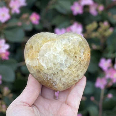 Backside of agate heart with druzy in a hand showing the polished external surface.