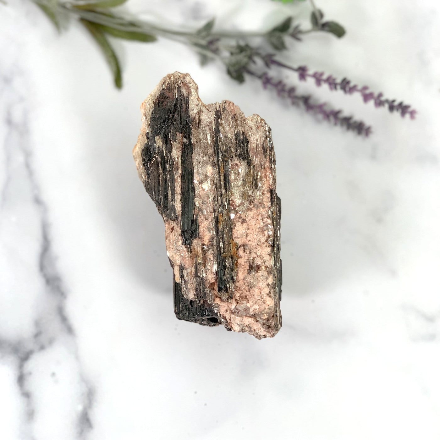 Black Tourmaline with Mica on Matrix on marble background with plants