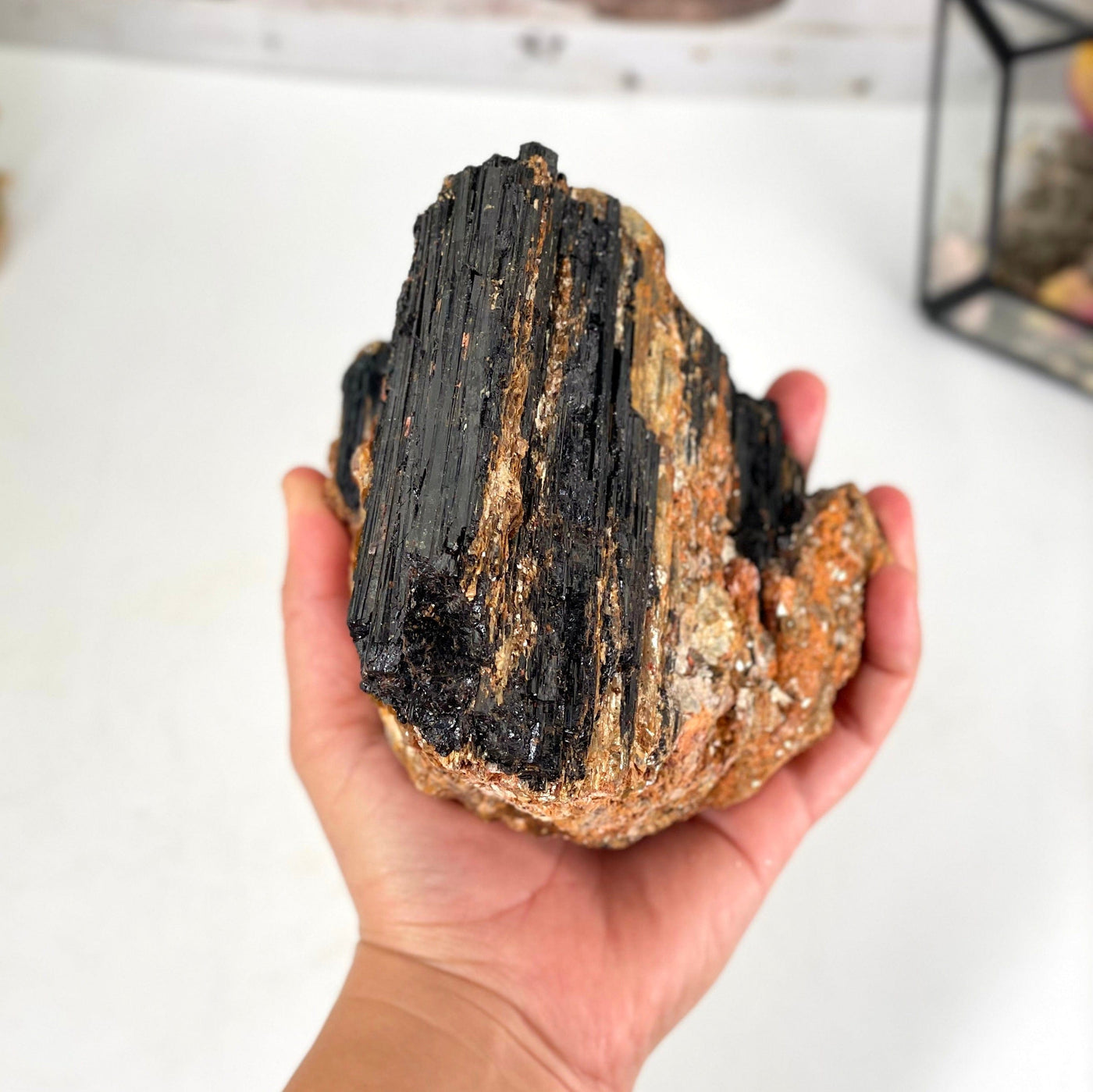 black tourmaline with flashes of mica shown in hand for size reference