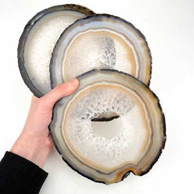 high-grade agate slice set in hand for size reference