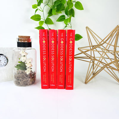 Display picture of all four books together, next to home decor.