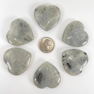grey moonstone polished hearts with quarter for size reference