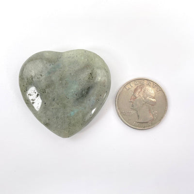 one labradorite polished heart with quarter for size reference