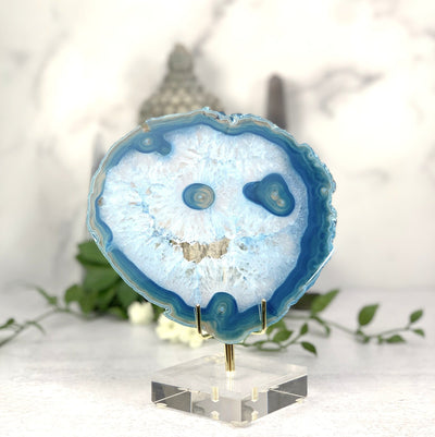 Blue dyed Agate Slice with Druzy on acrylic stand
