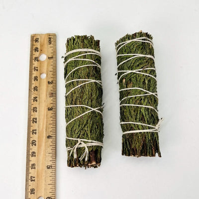 cedar bundles next to a ruler for size reference 