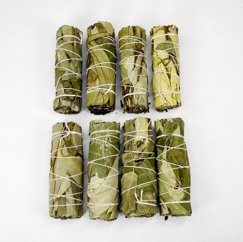 multiple eucalyptus bundles displayed to show the slight differences 