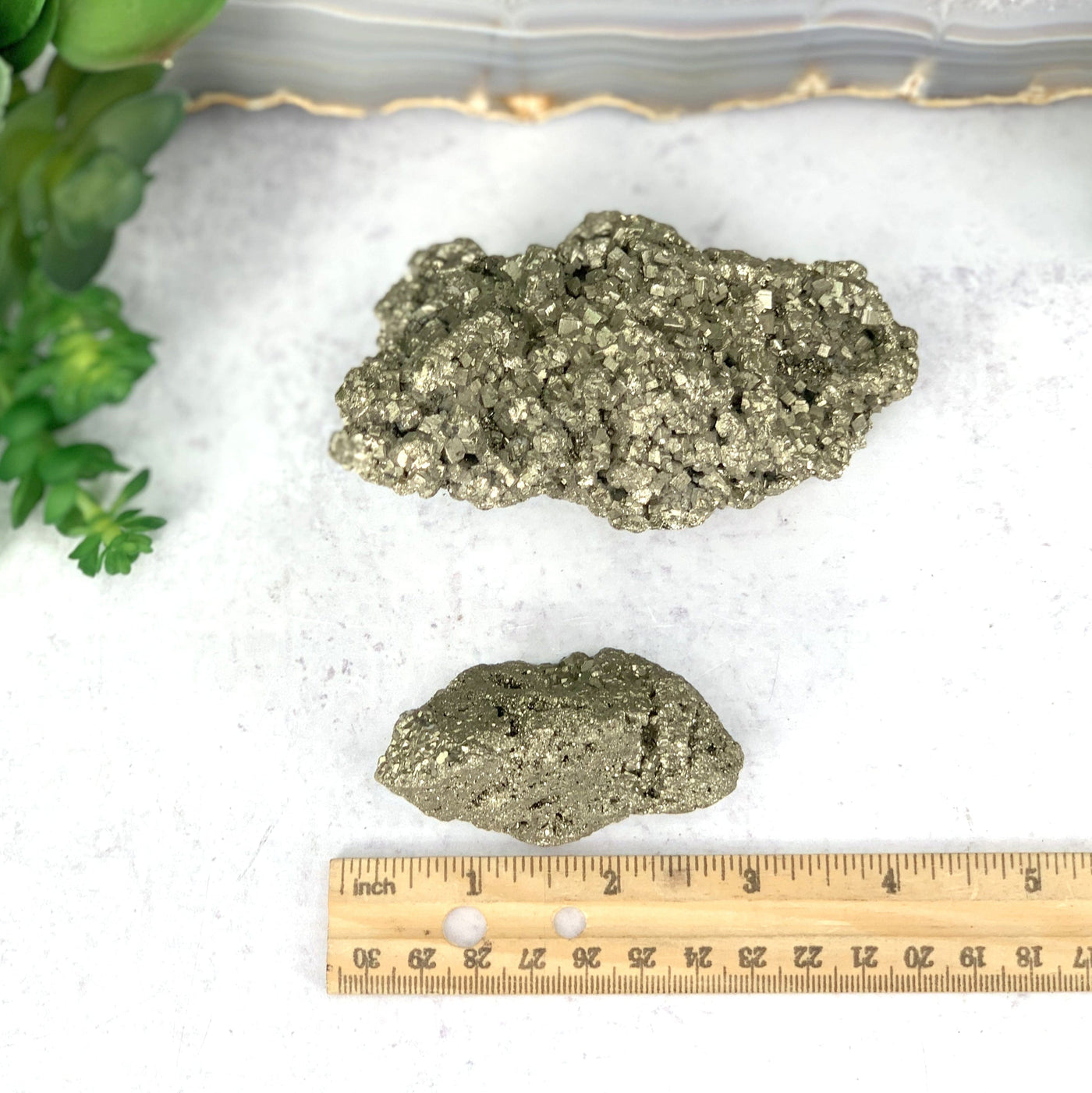 Two piece sets of the Pyrite Clusters comparing size to ruler