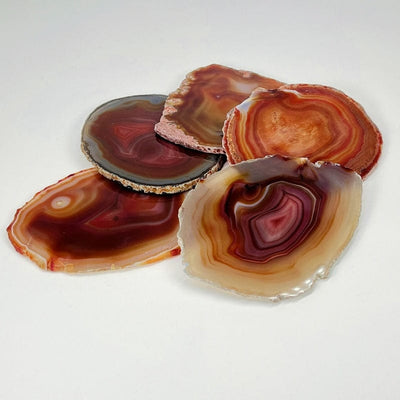 multiple red agate slices displayed to show the differences in the color shades 
