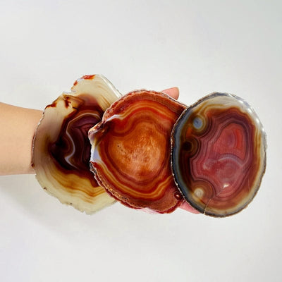 red agate slices in hand for size reference 