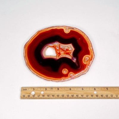 red agate slice next to a ruler for size reference 