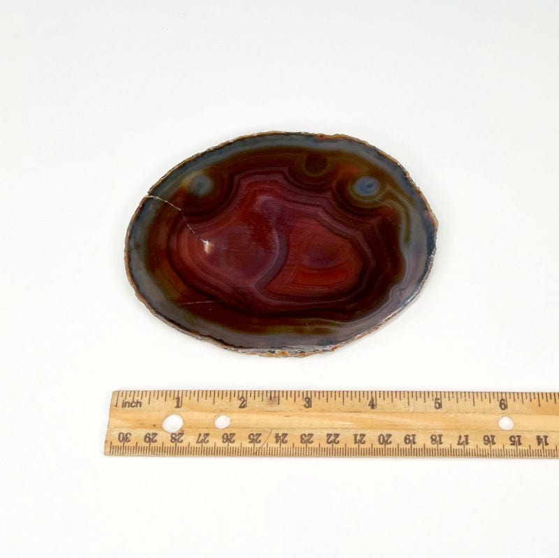 red agate slice next to a ruler for size reference 
