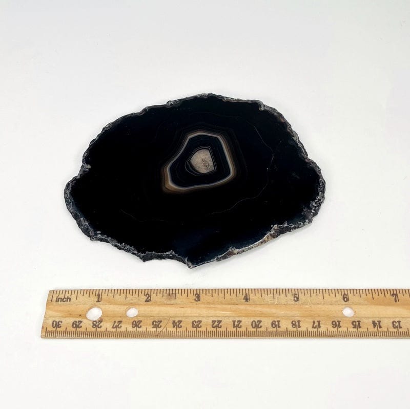 black agate slice next to a ruler for an approximate size