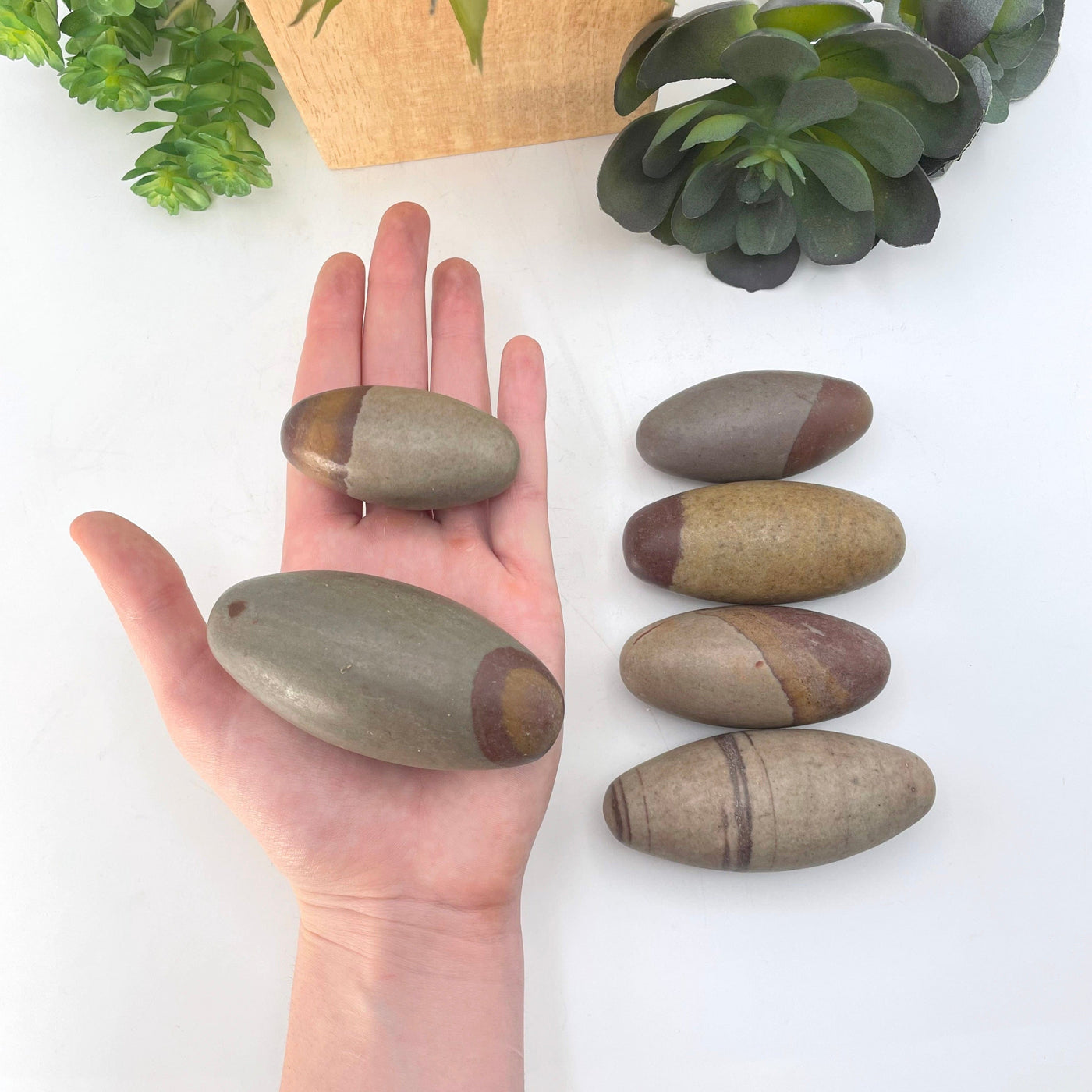 shiva lingam stones in hand and on display