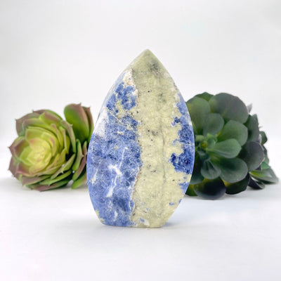 back view of sodalite twisted cut base