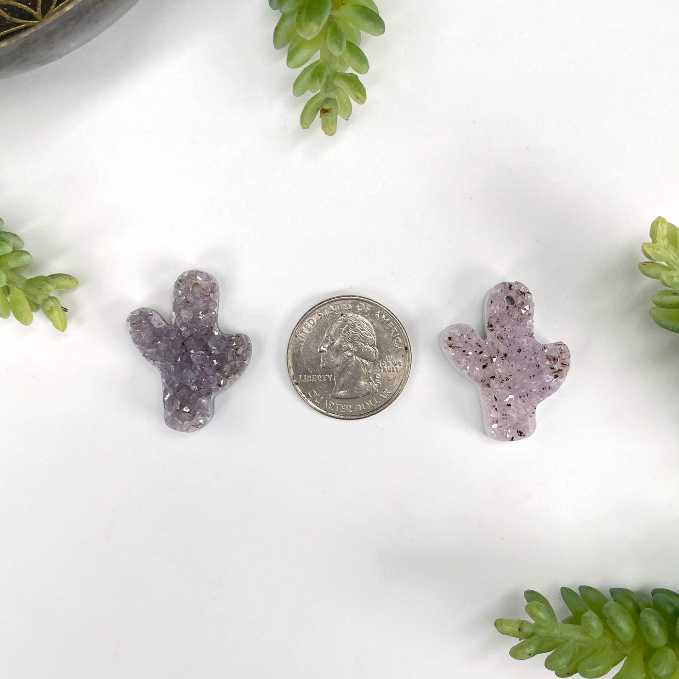 amethyst druzy drilled cactuses with quarter for size reference