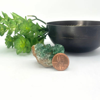 diana maria fluorite cluster with penny for size reference