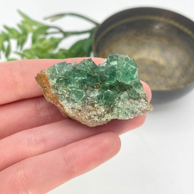 diana maria fluorite cluster in hand for size reference
