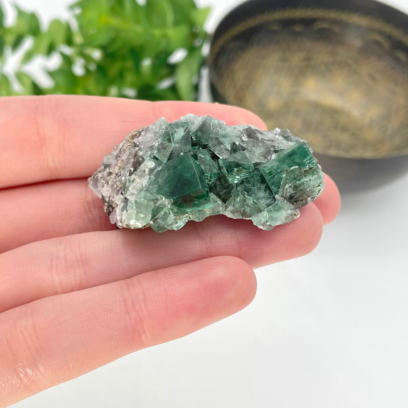 diana maria fluorite cluster in hand for size reference