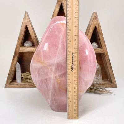 rose quartz polished cut base with ruler for size reference 