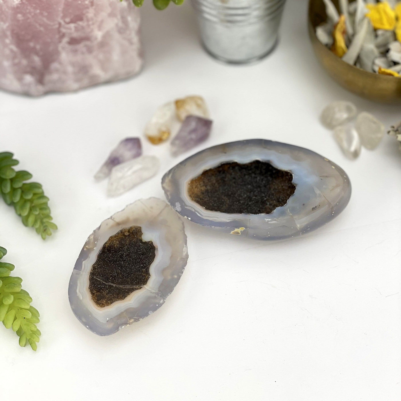 An open agate Geode Box on a light colored surface displaying internal druzy and pattern. Crystals and plants in the background.