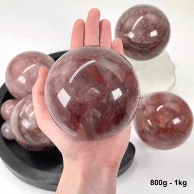one 800g - 1kg guava polished sphere in hand for size reference with others in background display
