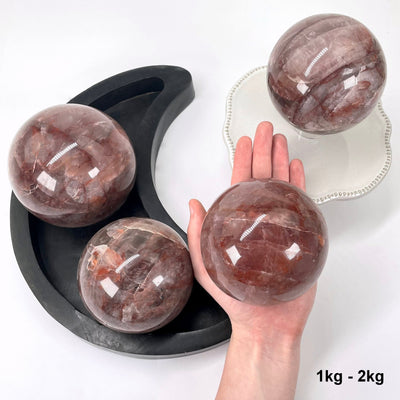 one 1kg - 2kg guava polished sphere in hand for size reference with three others on display for possible variations
