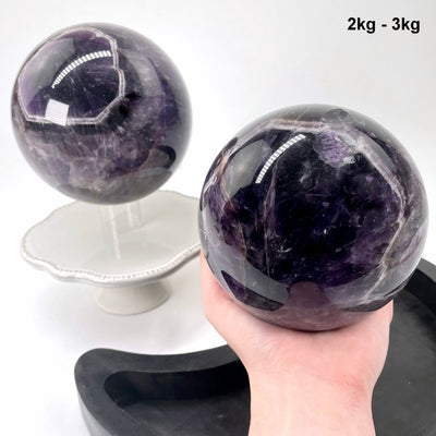 2kg - 3kg chevron amethyst polished sphere in hand with one other in background display