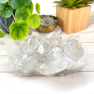 crystal quartz cluster in front of backdrop